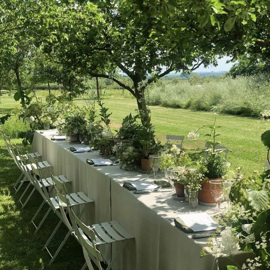 Tablescaping In The Vines 9th June