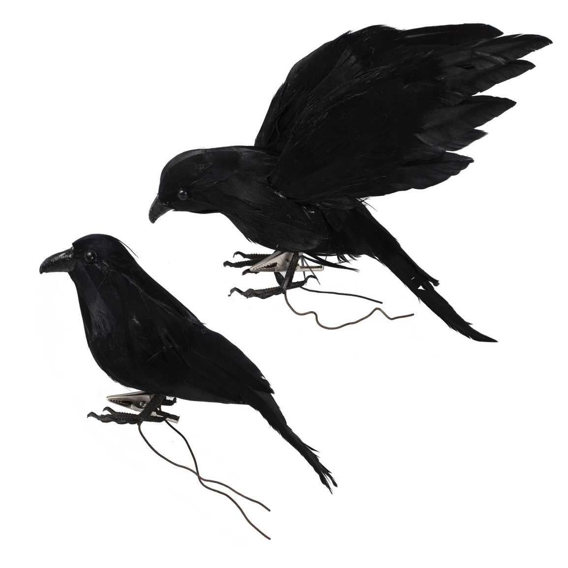 Pair of Black Crows