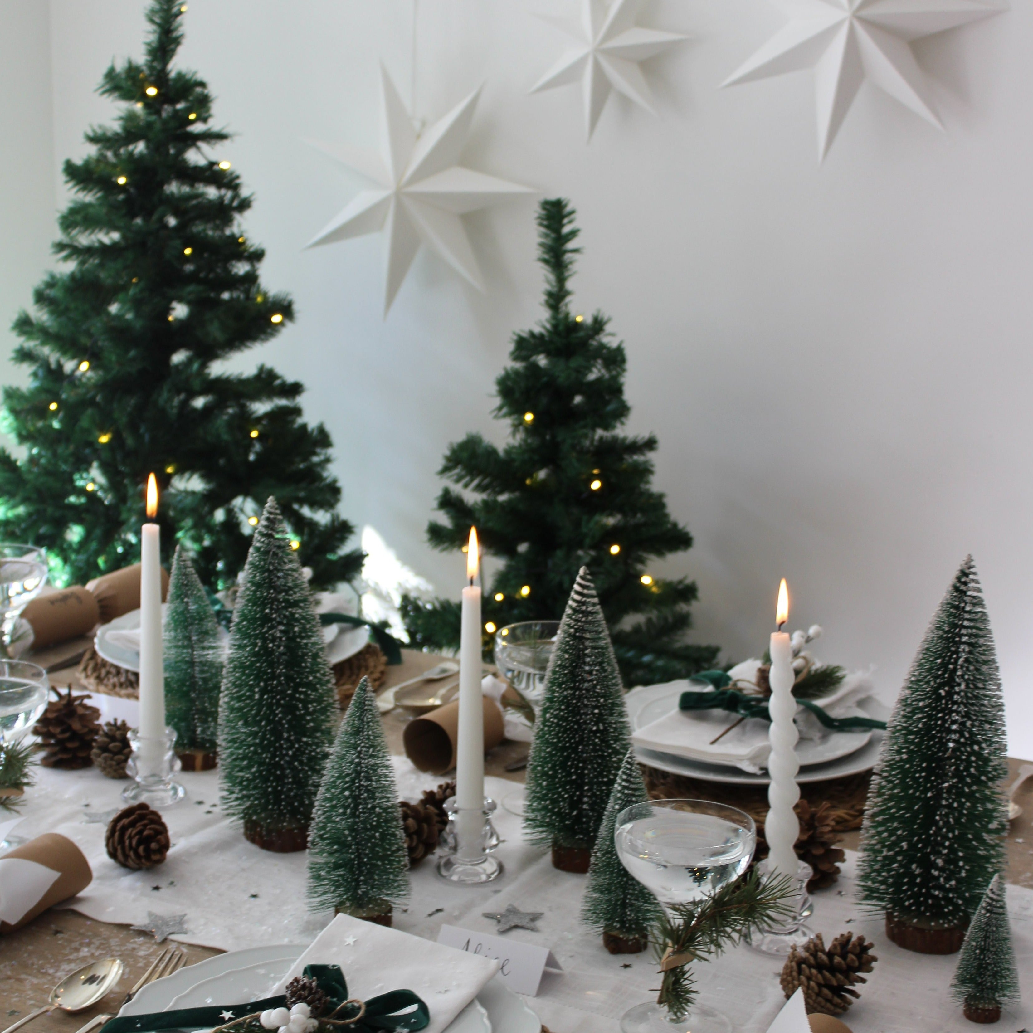 Christmas Tree Forest set of 10