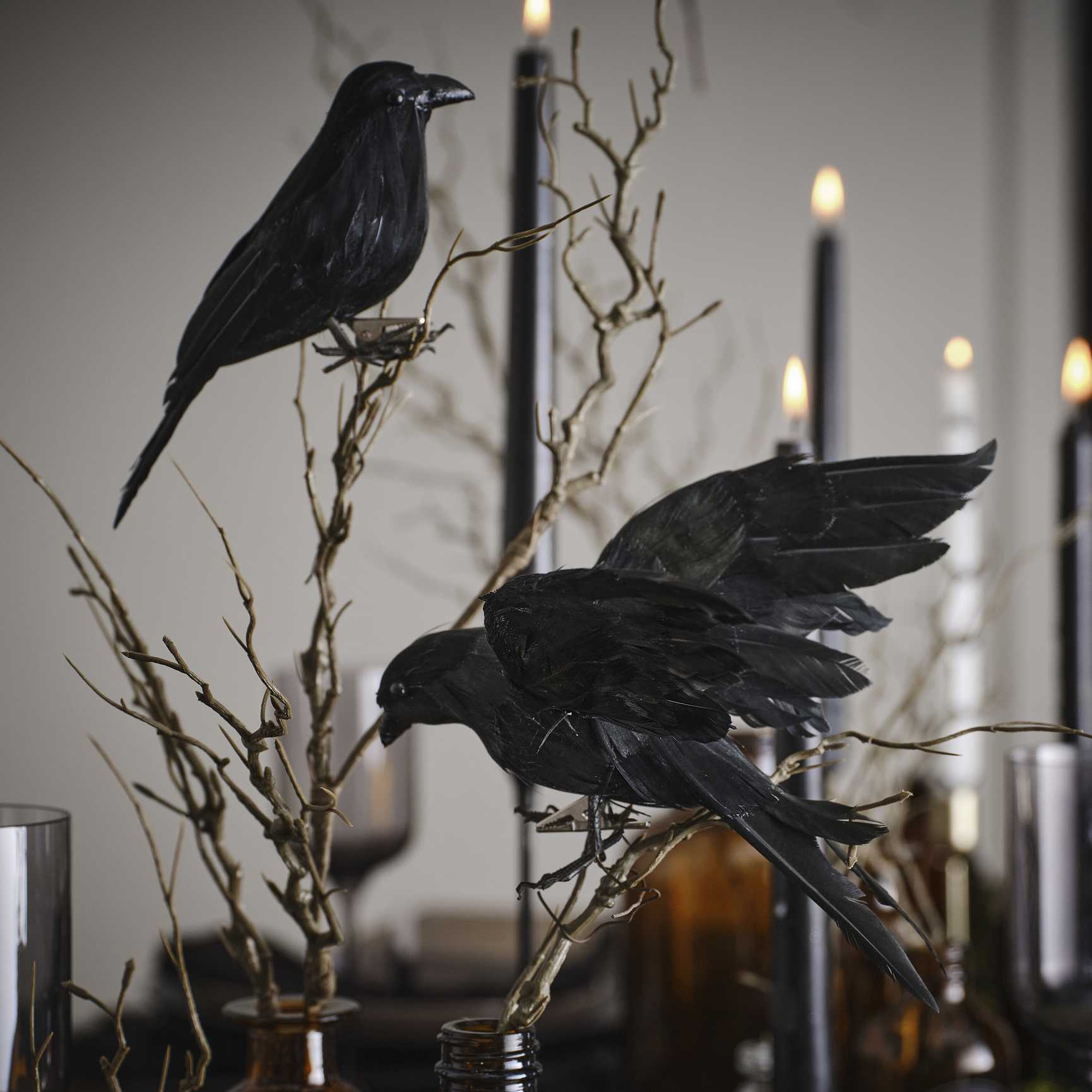 Pair of Black Crows