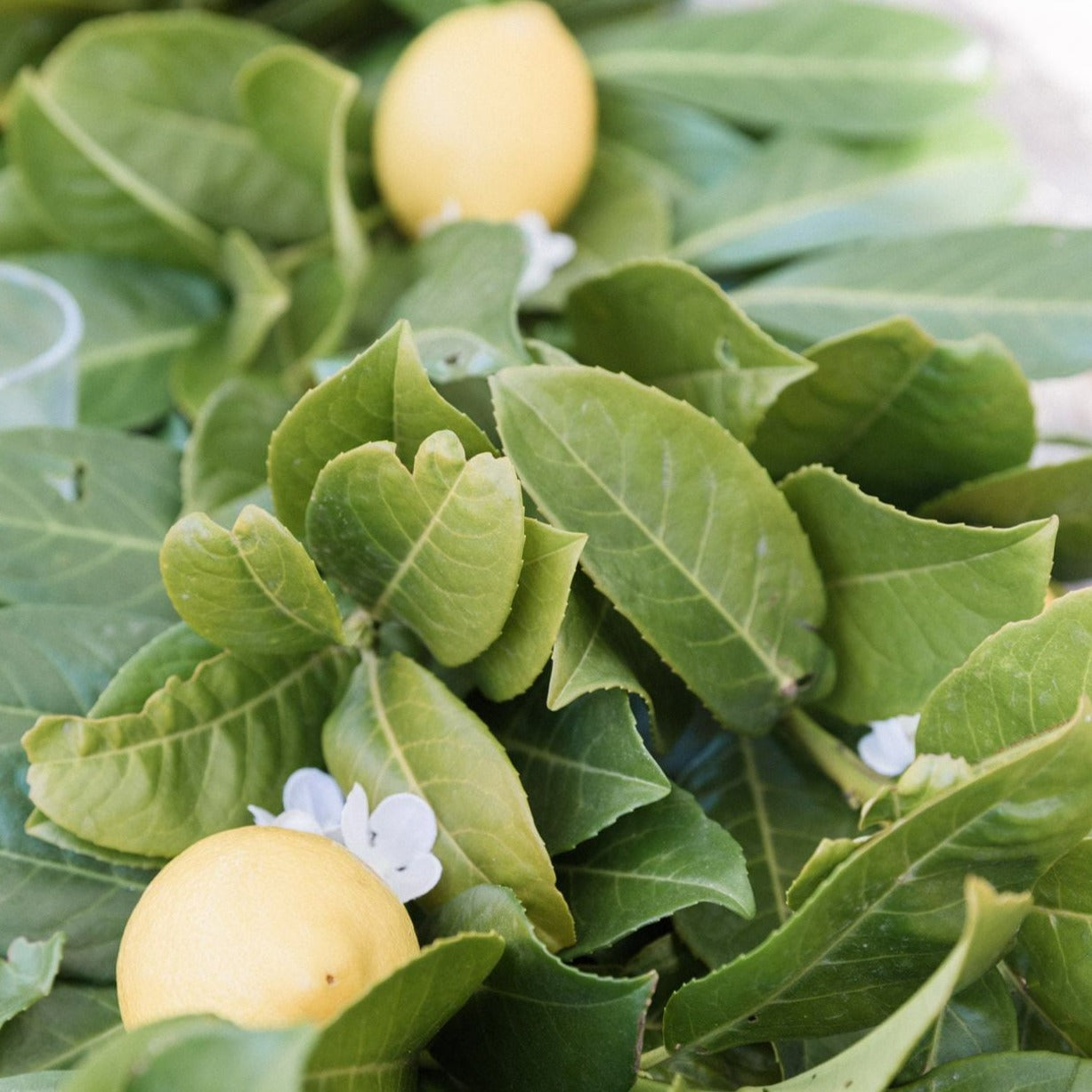 Amalfi Coast Rental Tablescape